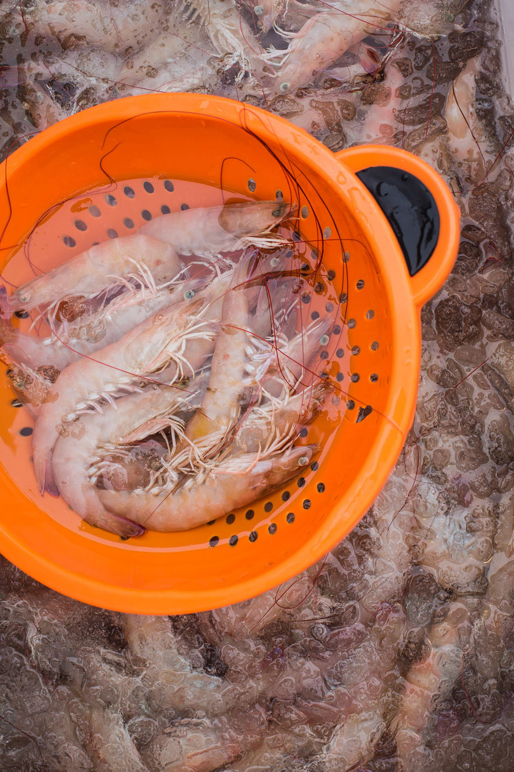  Florida Photography | Boca Grande - National Geographic Traveler | Steven Martine